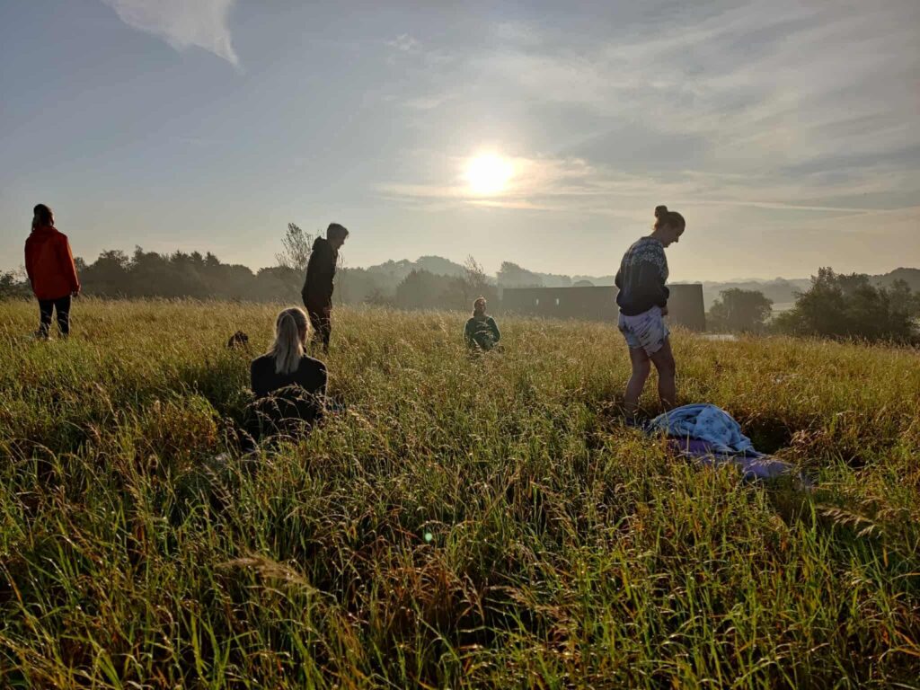 Group of people in tall grass in a meadow in the evening sun